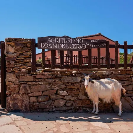 L'oasi Del Cervo Arbus