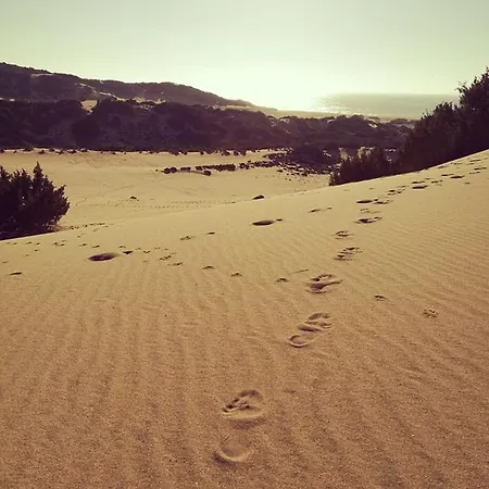 L'oasi Del Cervo Arbus