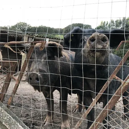 L'oasi Del Cervo أربوس