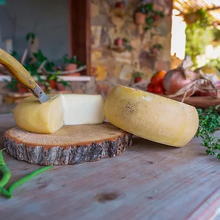L'oasi Del Cervo Feriegård Arbus