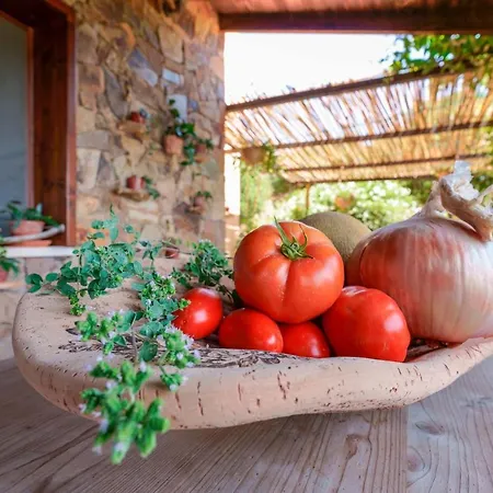 L'oasi Del Cervo Farm stay