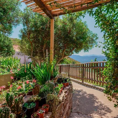 Farm stay L'oasi Del Cervo Arbus